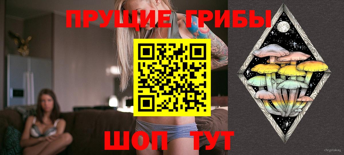Псилоцибиновые грибы Psilocybine cubensis  цена наркотик  Курчатов  Вход с VPN 