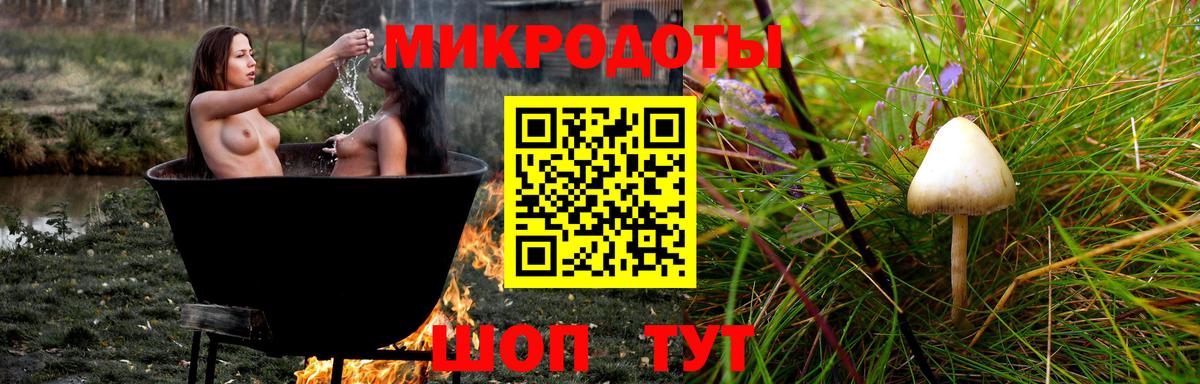 Галлюциногенные грибы Cubensis Курчатов